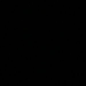 Meet your Posher, Sasha